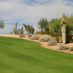 Complete Guide to Artificial Grass Installation in Phoenix AZ