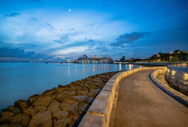 Why Professional Seawall Repair Services Are Essential for Coastal Properties