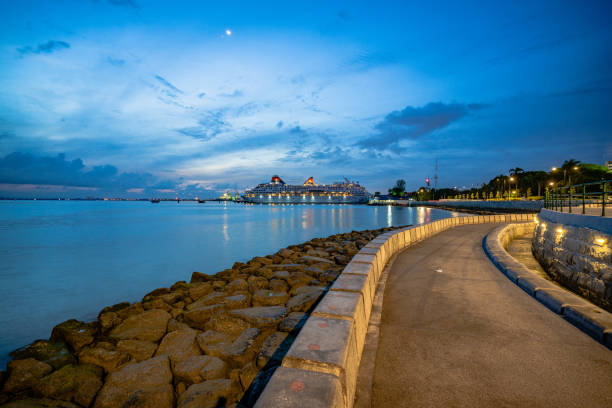 Why Professional Seawall Repair Services Are Essential for Coastal Properties